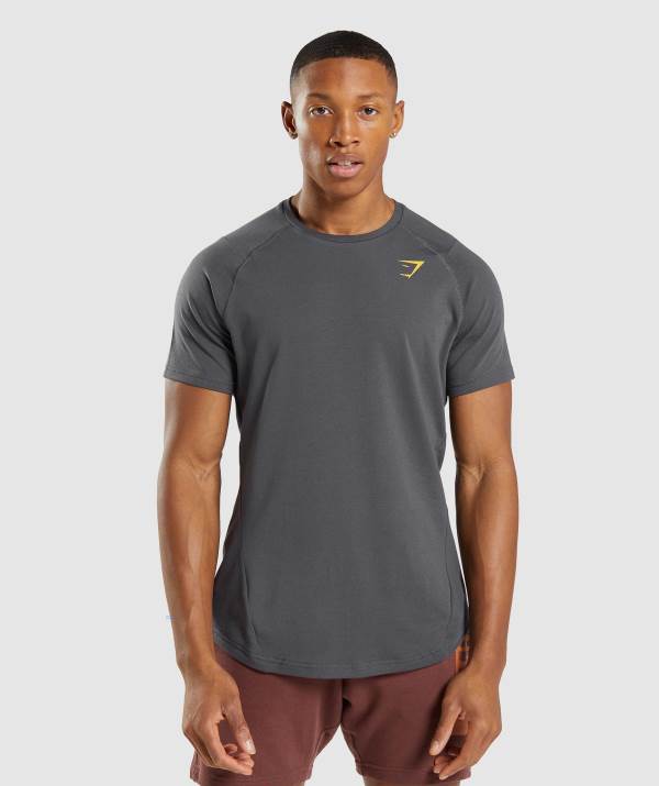 Panske Tricka Gymshark Bold Čierne Siva | TD7160523